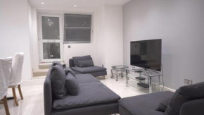 Brand New 3 Bedroom Flat In the heart of London